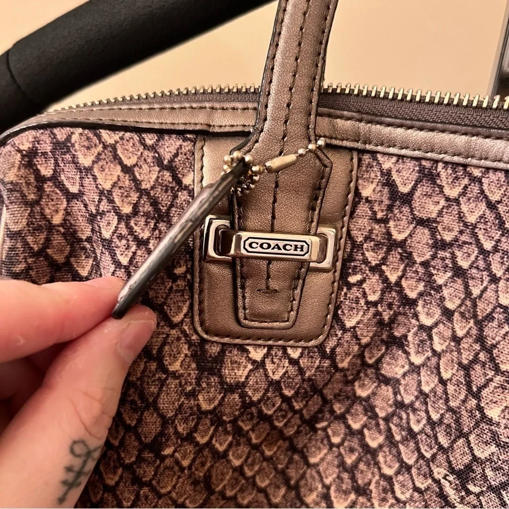 Coach Taylor Python Snake Print Bag